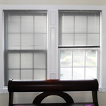 Plants: image 1 0f 4 thumb