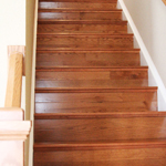 Plants: image 1 0f 4 thumb